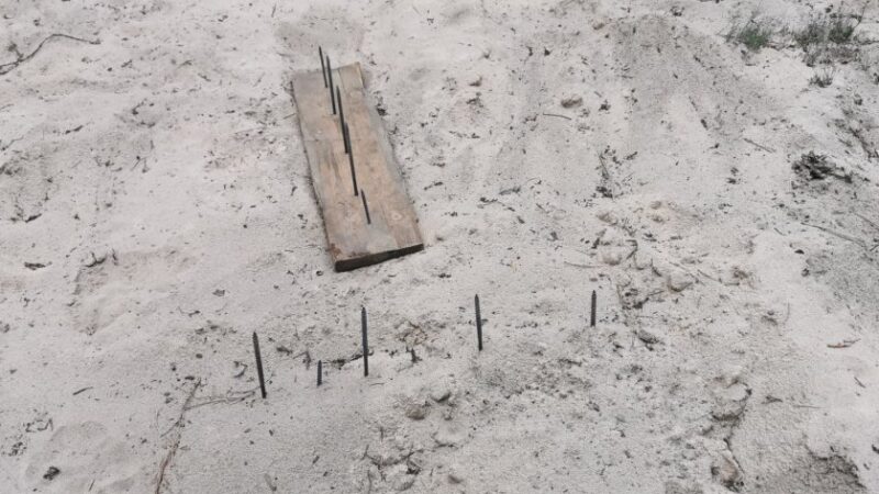 Niebezpieczna pułapka w lesie w Białobieli￼