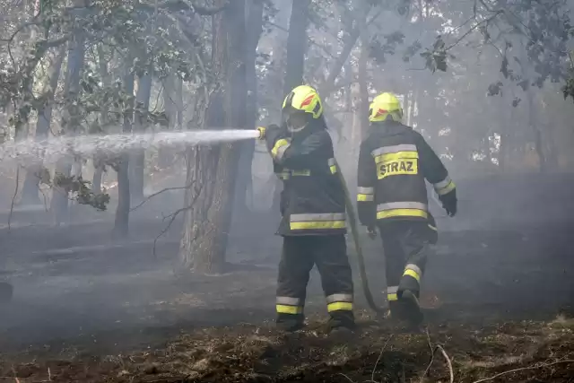 Mazowsze: Pożar 100 ha lasu w okolicy wsi Prosna. W akcji gaśniczej pomagają samoloty