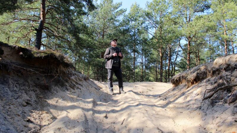 Quady „rozjeżdżają” nam lasy