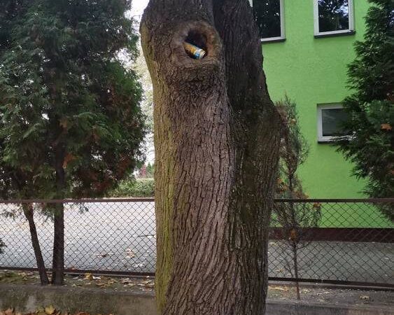 Śmieci w Sochaczewie – pomysłowość nie zna granic…