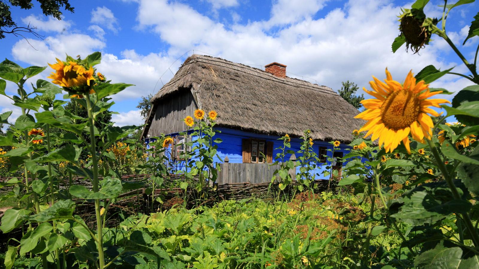 Mazowsze na lato. Jeden region, tysiące pomysłów na podróż